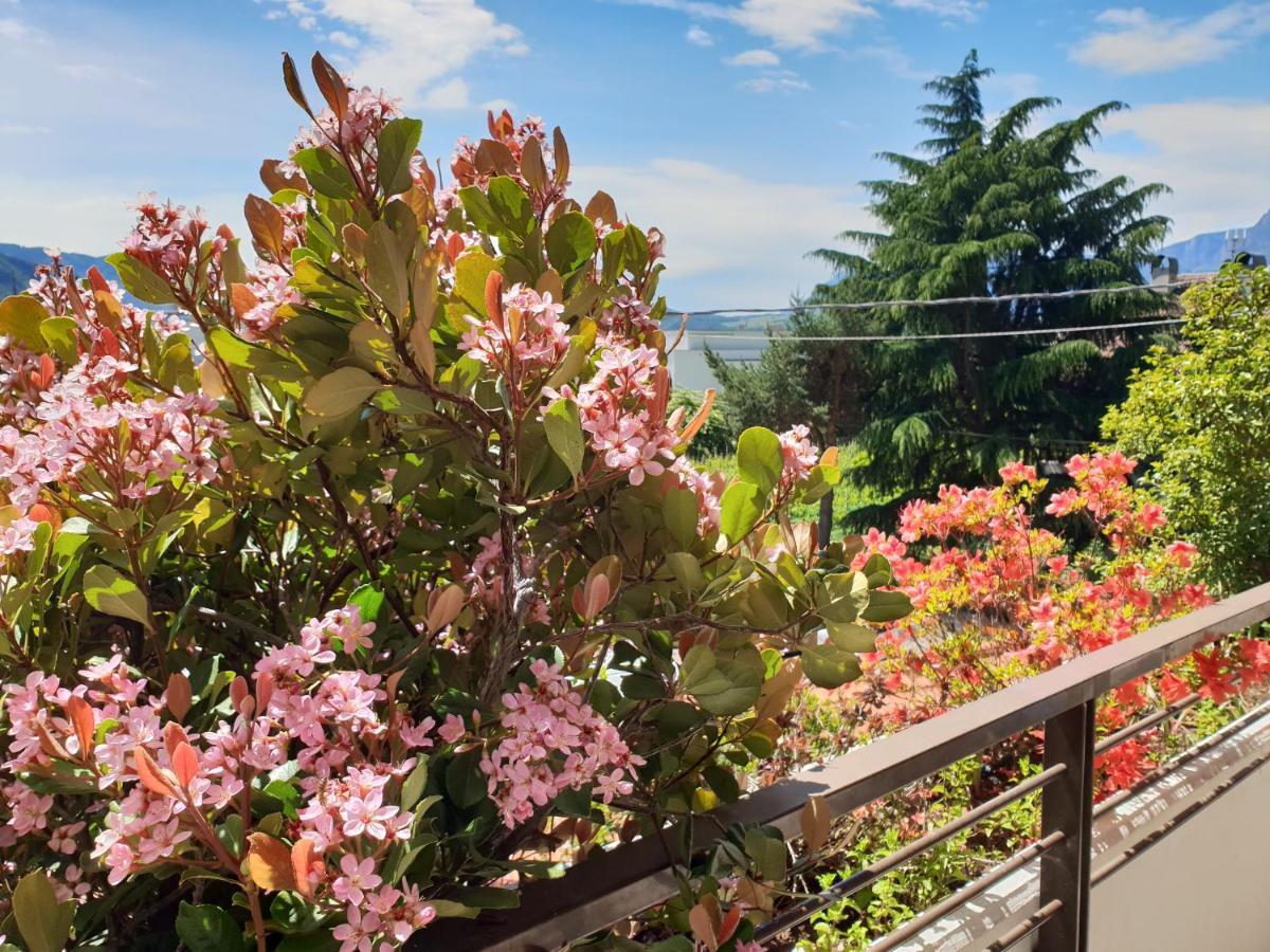 Domus Rose Rooms Больцано Екстер'єр фото